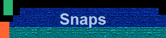 Snaps