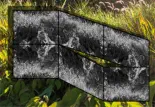 field blocks